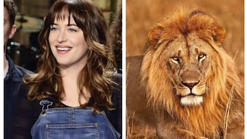La confesi車n de Dakota Johnson sobre su abuela: "Tiene 13 o 14 tigres y leones"