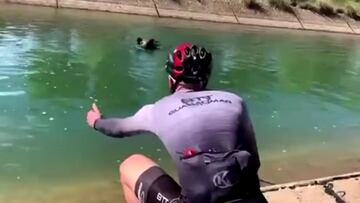 Un jabalí ataca a un ciclista que lo quizo salvar del agua