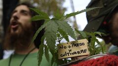 (FILES) In this file photo taken on May 06, 2017 a man holds a cannabis plant with a sign reading &quot;Not to jail for growing me&quot; during a demo, part of the Global Marijuana March in Buenos Aires. - Argentina legalised the self-cultivation of cannabis for medicinal use and the sales of therapeutic oils in pharmacies, through a decree published on the official journal on November 12, 2020. (Photo by JUAN MABROMATA / AFP)