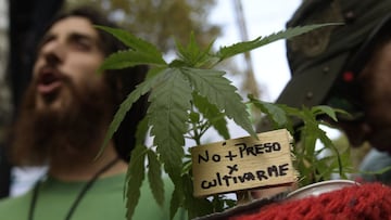 (FILES) In this file photo taken on May 06, 2017 a man holds a cannabis plant with a sign reading "Not to jail for growing me" during a demo, part of the Global Marijuana March in Buenos Aires. - Argentina legalised the self-cultivation of cannabis for medicinal use and the sales of therapeutic oils in pharmacies, through a decree published on the official journal on November 12, 2020. (Photo by JUAN MABROMATA / AFP)