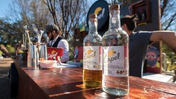 El pisco chileno vuelve a hacer historia