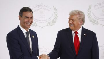 U.S. President Donald Trump and Spain's Prime Minister Pedro Sanchez shake hands as they pose for a photo, at a world leaders' summit on ending the Gaza war, amid a U.S.-brokered prisoner-hostage swap and ceasefire deal between Israel and Hamas, in Sharm el-Sheikh, Egypt, October 13, 2025. Yoan Valat/Pool via REUTERS
