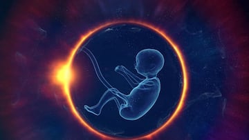 Hallan el mayor enigma de la formaci¨®n de los humanos