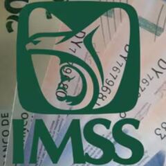 El curioso cambio del IMSS: así se distribuirá el aguinaldo para pensionados
