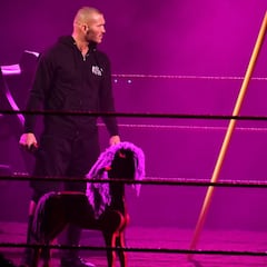 Alexa Bliss siembra la duda