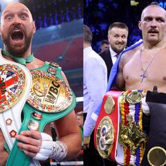 Fury-Usyk: luz verde a la batalla de los cinturones