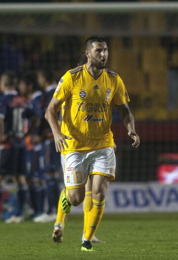 Gignac y su póker en imágenes