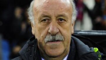 Vicente del Bosque, durante un partido en la Copa Confederaciones.
