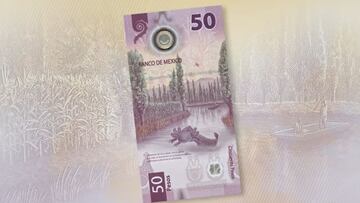 Billete 50 pesos ajolote