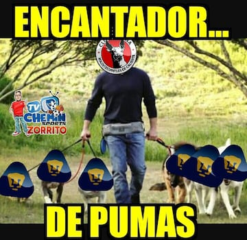 Pumas y Chivas roban los reflectores en los memes