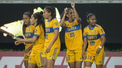 Chivas - Tigres (1-1): Resumen del partido y goles