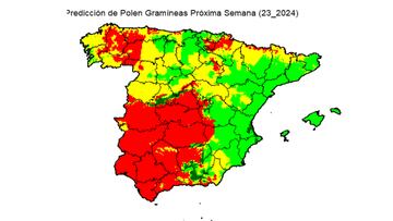 ¿Eres alérgico? Estos son los niveles de gramíneas en España para la primera semana de junio