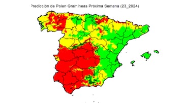 ?Eres al¨¦rgico? Estos son los niveles de gram¨ªneas en Espa?a para la primera semana de junio