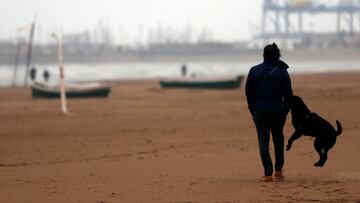 GRAFCVA2404. VALENCIA, 02/03/2021.-Este martes el cielo estará nuboso o cubierto con precipitaciones que podrían ir acompañadas de barro y que avanzarán de sur a norte, localmente persistentes en el sur de Valencia y norte de Alicante y más dispersas y menos intensas en la mitad norte.EFE/Kai Försterling