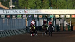 LOUISVILLE, KENTUCKY - MAY 02: Forever Young and T O Password walk on the track during morning workouts ahead of the 150th running of the Kentucky Derby at Churchill Downs on May 02, 2024 in Louisville, Kentucky.   Rob Carr/Getty Images/AFP (Photo by Rob Carr / GETTY IMAGES NORTH AMERICA / Getty Images via AFP)