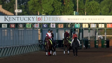 LOUISVILLE, KENTUCKY - MAY 02: Forever Young and T O Password walk on the track during morning workouts ahead of the 150th running of the Kentucky Derby at Churchill Downs on May 02, 2024 in Louisville, Kentucky. Rob Carr/Getty Images/AFP (Photo by Rob Carr / GETTY IMAGES NORTH AMERICA / Getty Images via AFP)