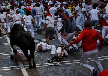 Hoy 8 de julio de 2022 se ha celebrado el segundo día de los encierros de los Sanfermines. Por las calles de Pamplona ha corrido los toros de la ganadería Fuente Ymbro.