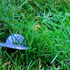 Sanción a Rahm tras embocar uno de los golpes más increíbles de siempre: ¿se movió la bola?