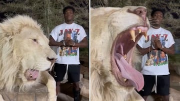 Real Madrid’s Aurelien Tchouameni, aka “the French Lion”, is spending his injured time away with his “best boy Leo”, posting this video to social media.