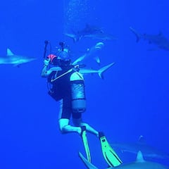 Una buceadora que grababa un vídeo sobre tiburones recibe un ataque en su día libre