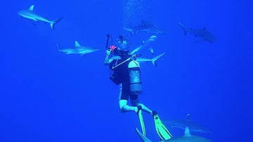Una buceadora que grababa un vídeo sobre tiburones recibe un ataque en su día libre