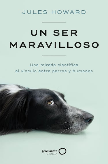 Sant Jordi 2023: los mejores libros para regalar