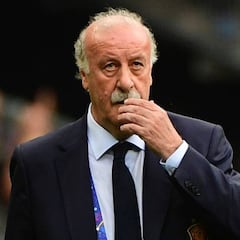 Del Bosque votará su propio sucesor en la Selección