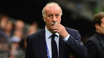 Del Bosque votará su propio sucesor en la Selección