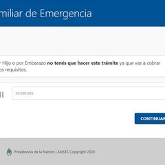 Ingreso Familiar de Emergencia de ANSES: cómo anotarse en el formulario de preinscripción