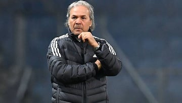 Madjer: Algeria fire head coach