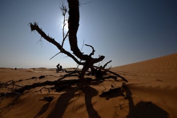 Carlos Sainz y Cruz logran su segunda victoria en el Dakar 2021