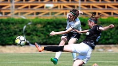 Colo Colo y Palestino pelearán el segundo cupo a la Libertadores
