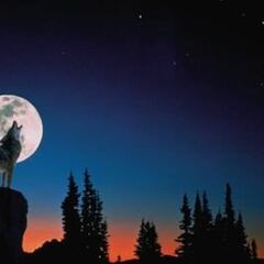 Luna del Lobo 2022: a qué hora es, cuál es su significado y cómo ver la luna llena de enero