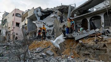 A dove flies over the debris of houses destroyed in Israeli strikes, in Khan Younis in the southern Gaza Strip October 11, 2023. REUTERS/Ibraheem Abu Mustafa TPX IMAGES OF THE DAY