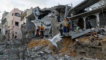 A dove flies over the debris of houses destroyed in Israeli strikes, in Khan Younis in the southern Gaza Strip October 11, 2023. REUTERS/Ibraheem Abu Mustafa     TPX IMAGES OF THE DAY