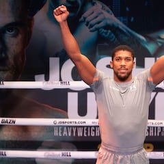 ¿Cuánto dinero cobra Anthony Joshua en su pelea contra Olek Usyk?