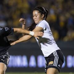 Monterrey vs Tigres, cómo y dónde; horario y TV online