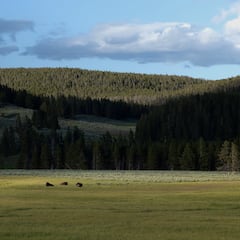 The U.S. town with only six inhabitants and a story that will surprise you