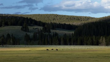 Discover Lost Springs, Wyoming—America’s tiniest town with just 6 residents, rich mining history, and a surprising sense of community.