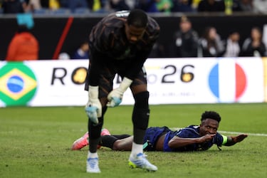 La samba de la tortuga