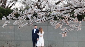 A couple in formal wear have their picture taken amid cherry blossoms along the Tidal Basin in Washington, D.C., U.S., March 26, 2026. REUTERS/Kevin Lamarque