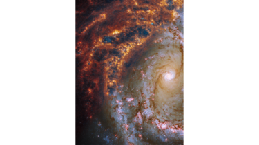 El Telescopio Espacial James Webb muestra nuevas imágenes de 19 galaxias diferentes