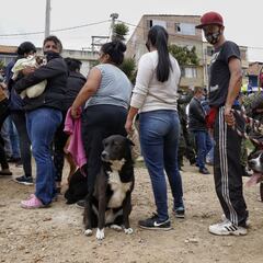 Ingreso Solidario: ¿hasta cuándo se pueden reclamar los giros anticipados de enero y febrero?