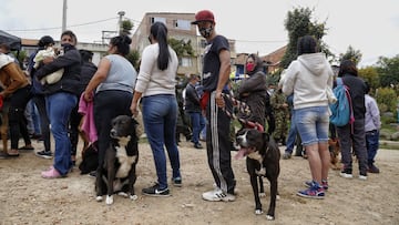 Ingreso Solidario: ¿hasta cuándo se pueden reclamar los giros anticipados de enero y febrero?