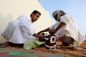 Se celebró en Dubai la Al Marmoom Heritage Festival, un acontecimiento que promueve el deporte tradicional de la carrera de camellos en la región. Los participantes lo hacen a través de un jinete robótico con control remoto. 