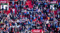 ¿Por qué no hay descensos en la liga argentina y cuándo serán los próximos?