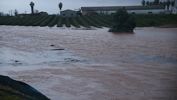 La lluvia anega varias zonas de Lora del Río (Sevilla), que se protege con bombas de desagüe. A 07 de febrero de 2026 en Lora del Río, Sevilla, Andalucía (España). El municipio sevillano de Lora del Río está viviendo con preocupación estas últimas horas por el riesgo de colapso de los tanques de tormenta, sobre todo, a raíz de la fuerte tromba que ha caído en esta tarde, que ha provocado inundaciones en algunas zonas, que poco a poco van recobrando la normalidad gracias al uso de bombas de desagüe.
07 FEBRERO 2026;LORA DEL RÍO;SEVILLA;INUNDACIÓN;LLUVIA;DESAGÜE;DESALOJO;ANDALUCÍA;BORRASCA
Rocío Ruz / Europa Press
07/02/2026