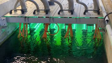 Tratamiento de aguas residuales