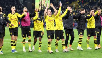 Resurrección negriamarilla