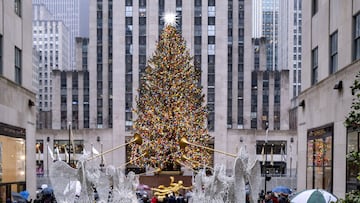 Estados Unidos cuenta con un total de 11 d&iacute;as festivos feriados a nivel nacional. A continuaci&oacute;n, el calendario laboral de USA para el a&ntilde;o nuevo 2022.